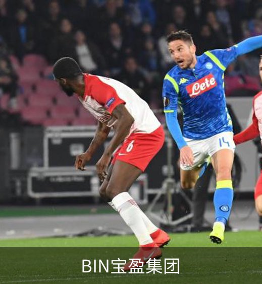 BIN宝盈集团介绍